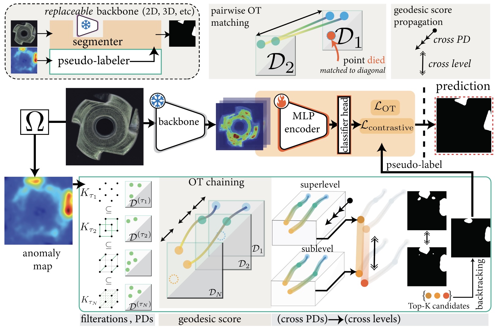 Test-Time Adaptation for Anomaly Segmentation via Topology-Aware Optimal Transport Chaining thumbnail